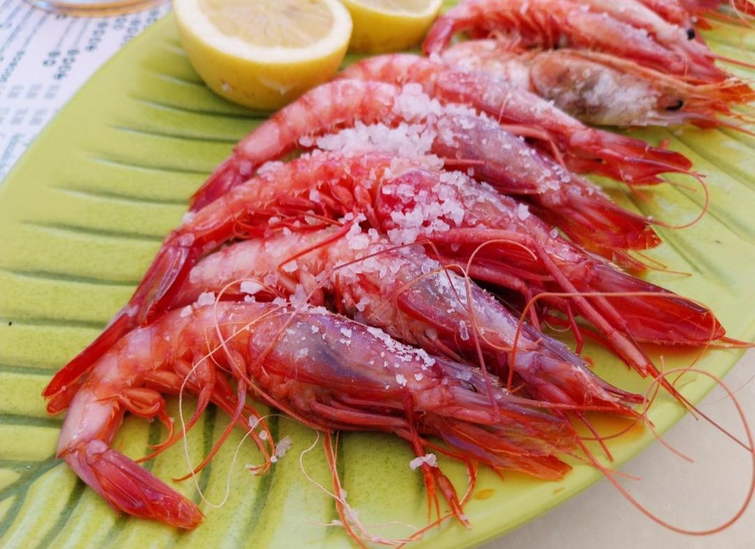 S&H La Malcriada San Juan de los Terreros Esterno foto